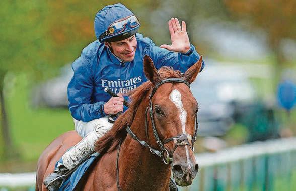Expanded looks the best value in 2,000 Guineas