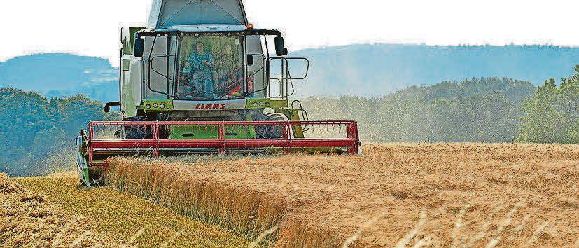 Calls for government to boost nature stewardship on farms
