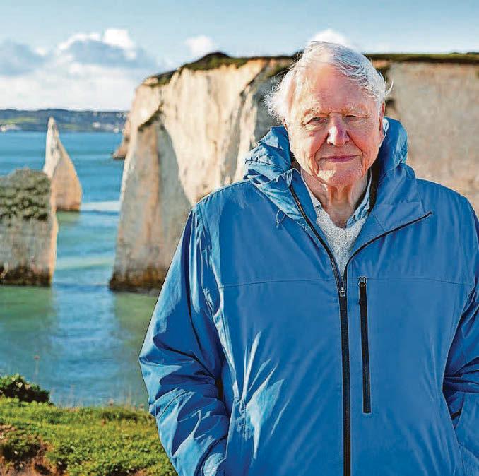 Attenborough: If we save the sea, we save our world