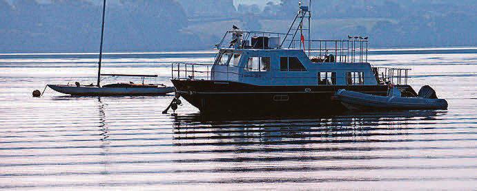 Habitat 'at risk' in estuaries