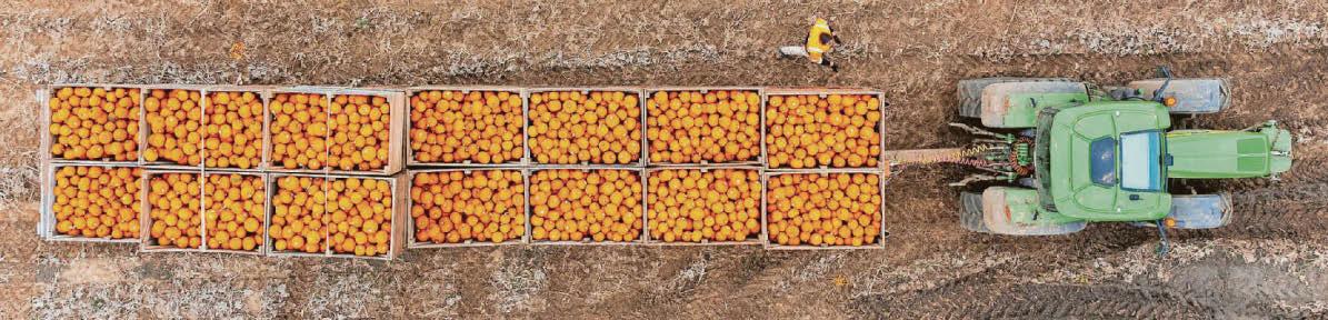 Tax change 'distracting' farmers from environmental impact focus