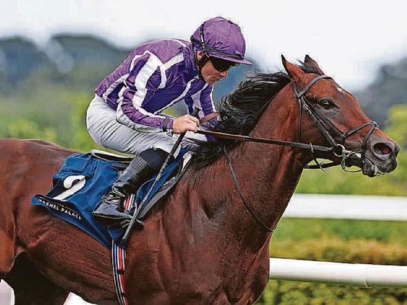 How Dorothy's 1933 Derby gamble failed to pay off