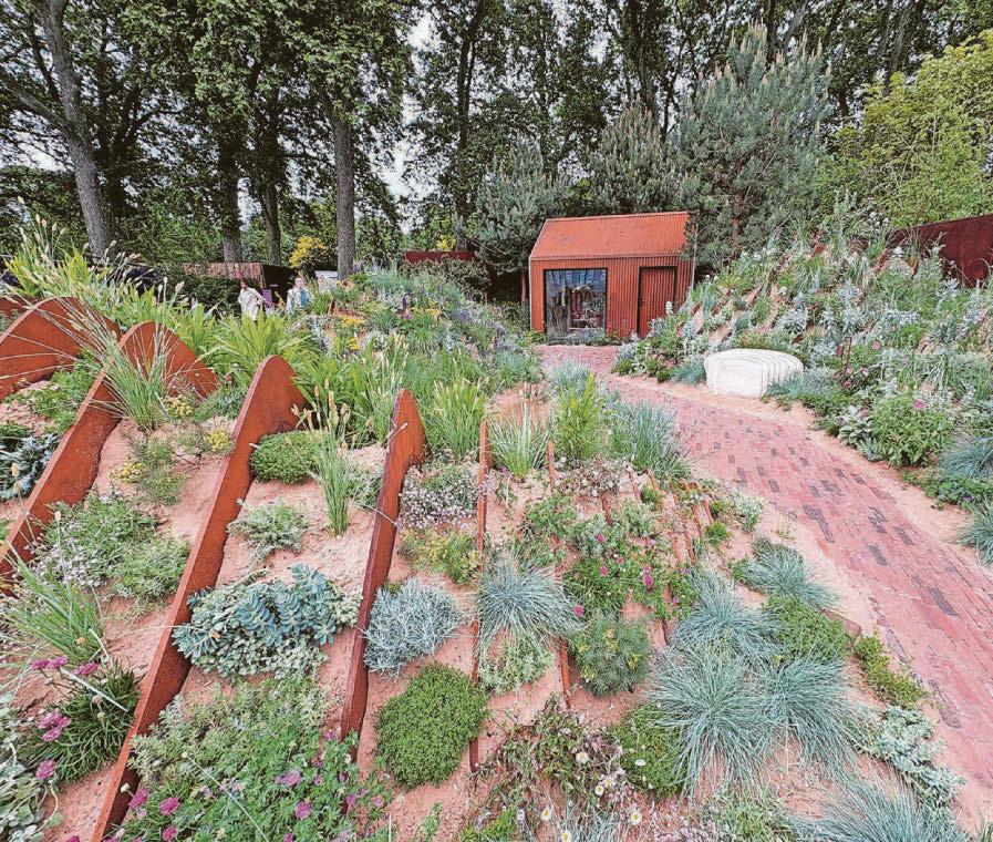 What we learnt Trends from this year's Chelsea