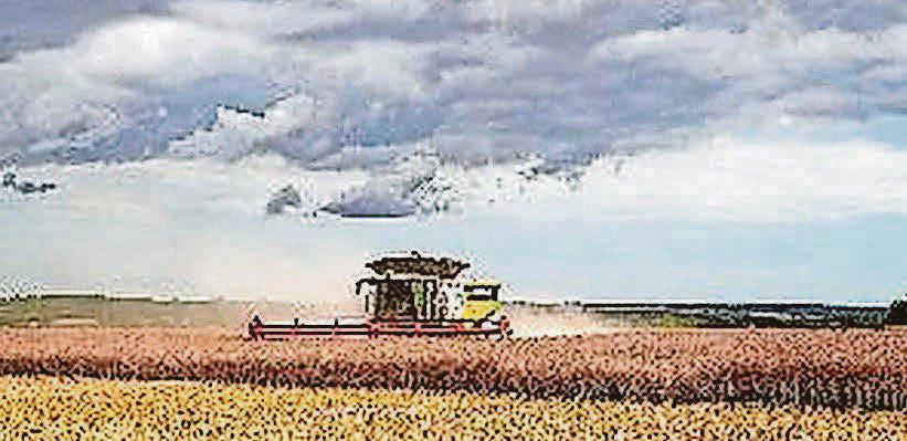 Cutting nature-friendly farming budget would be 'devastating'