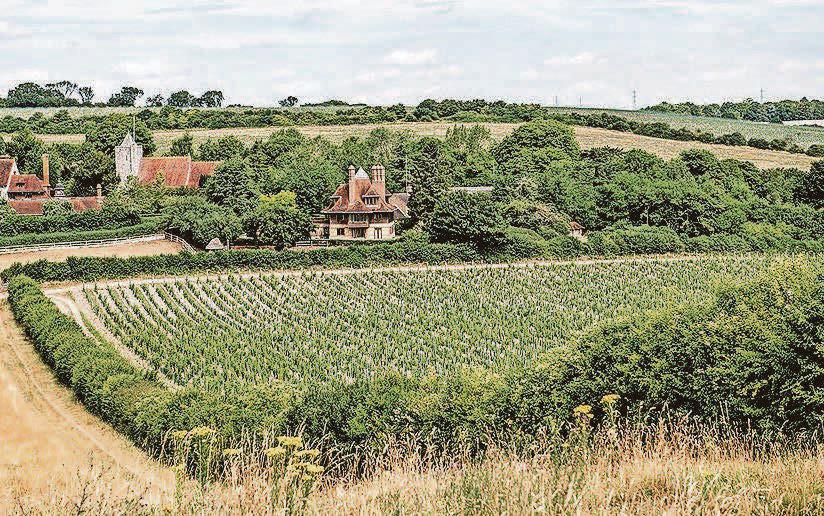 Conservation chief's concern at nature restoration budget