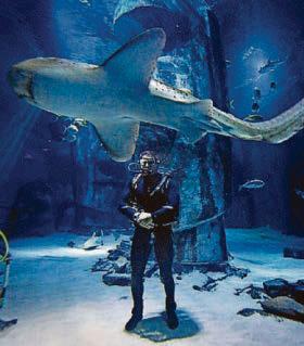 Snakes, sharks, sneaky hippos... wildlife is my safe space