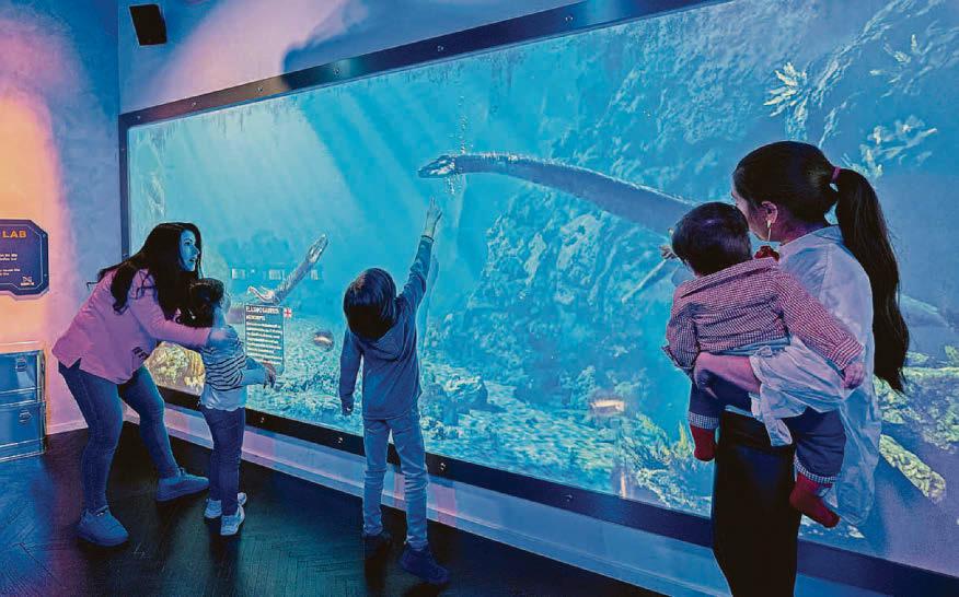 Enter a dinosaurs' world