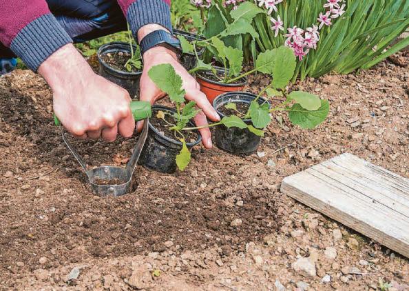 Time is right to prep