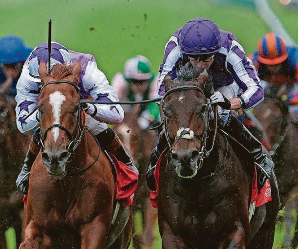 Horse racing Midak could outrun his odds in Epsom Derby