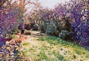 Opening up a gardener's world