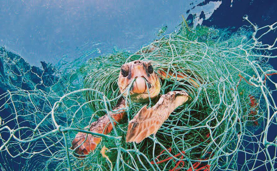 UK to legislate for UN High Seas Treaty by end of year