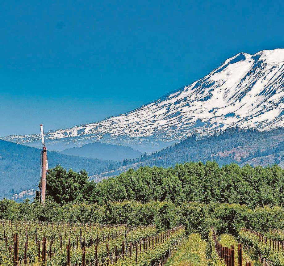 WINE MORE FOR THE ROAD