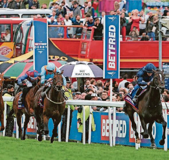 What's in a horse's name? Quite a lot in my opinion