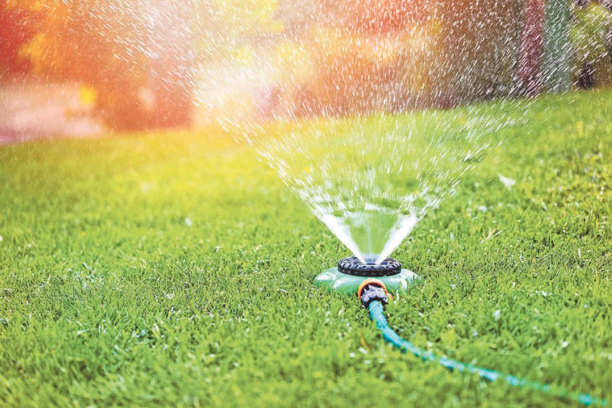 How to keep your lawn lush