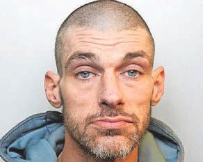 Prison for prolific protein pincher