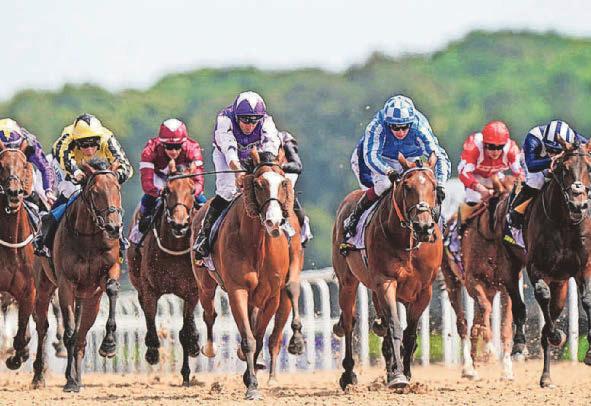 Racing Zanndabad is one to watch out for in the Northumberland Plate