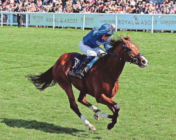 Horse racing Ombudsman is the one to beat in the high-class Eclipse Stakes