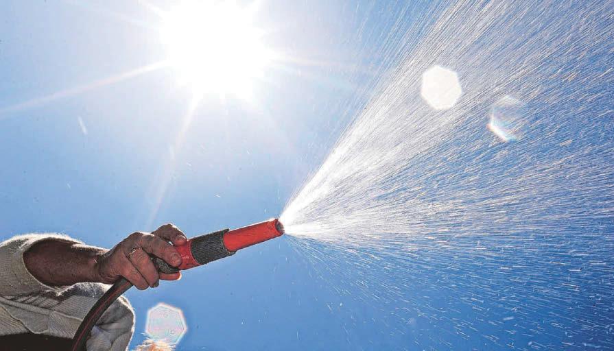 Expert advice Gardening in a heatwave