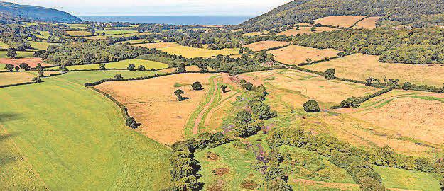 'Glimmer of hope' from Labour