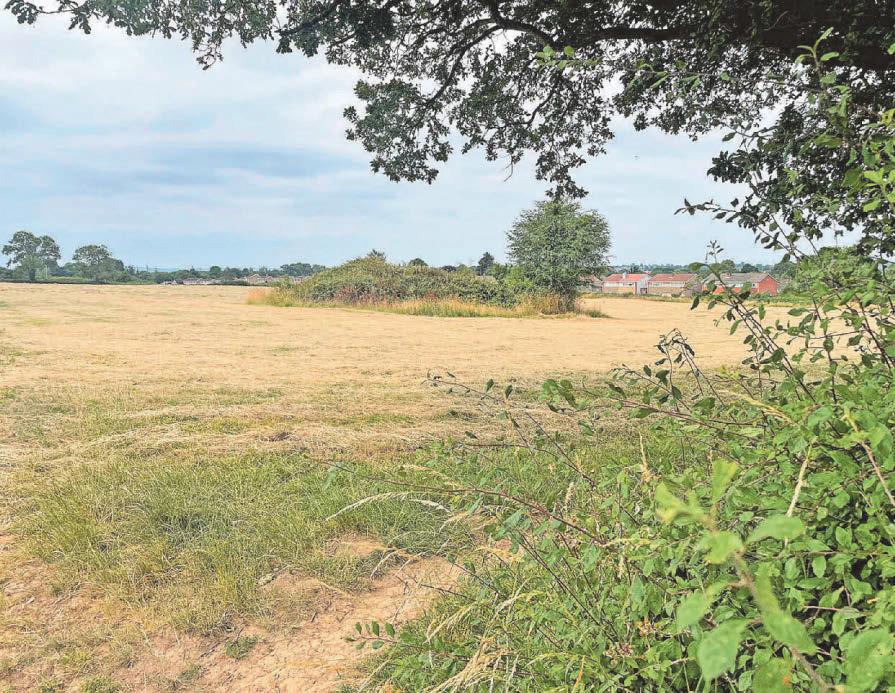 Housing battle MP 'disappointed' at developer's bid to build on green belt