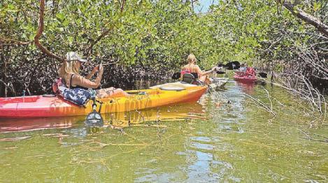 Not just any old Fort in a storm