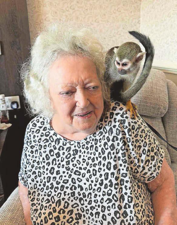 Monkeying around Animal visitors brighten up the day at care home