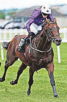 HORSE POWER Arizona can Blaze a trail through runners at York