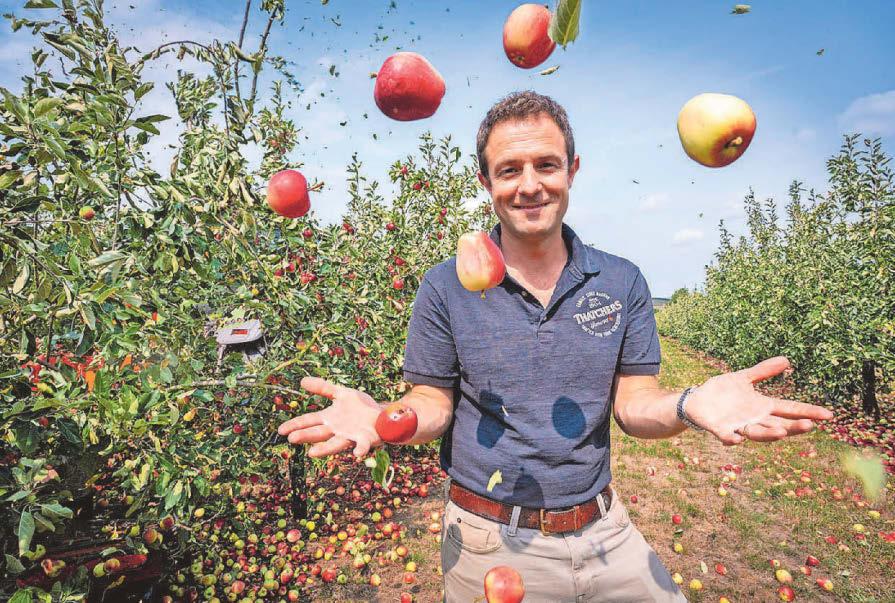 Fruitful summer Hot weather puts cider harvest ahead of schedule