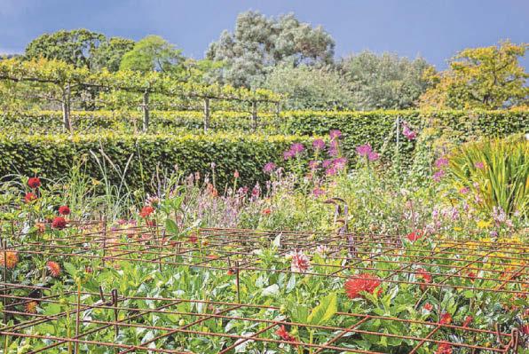 Yeo Valley opens for first festival