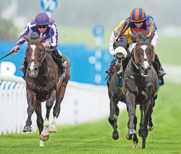 O'Brien looks well set to win St Leger for the ninth time