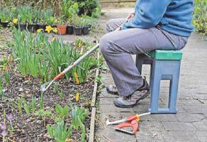 Expert advice Gardening with arthritis