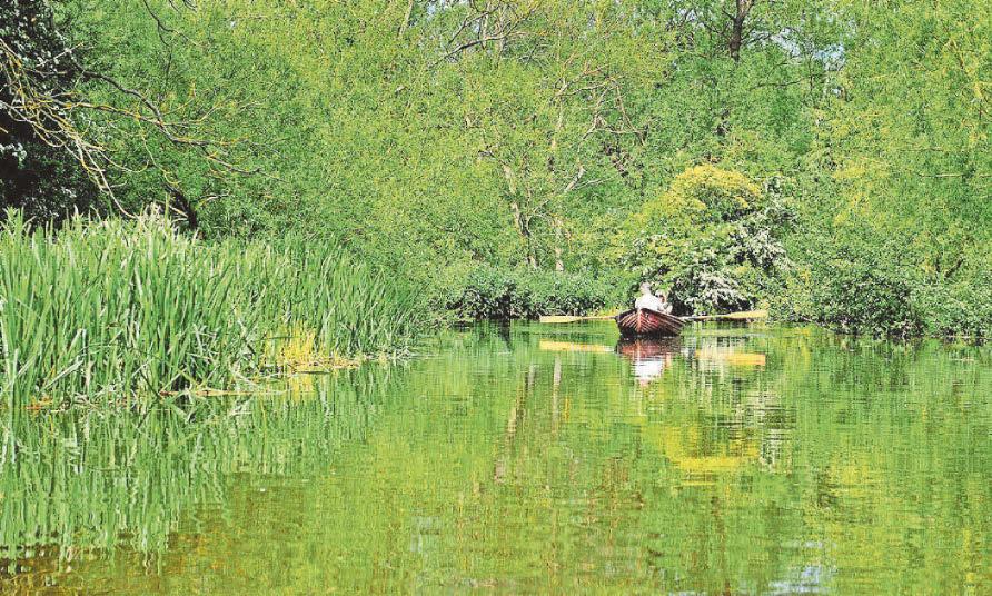 UK spends record amount on nature protection projects