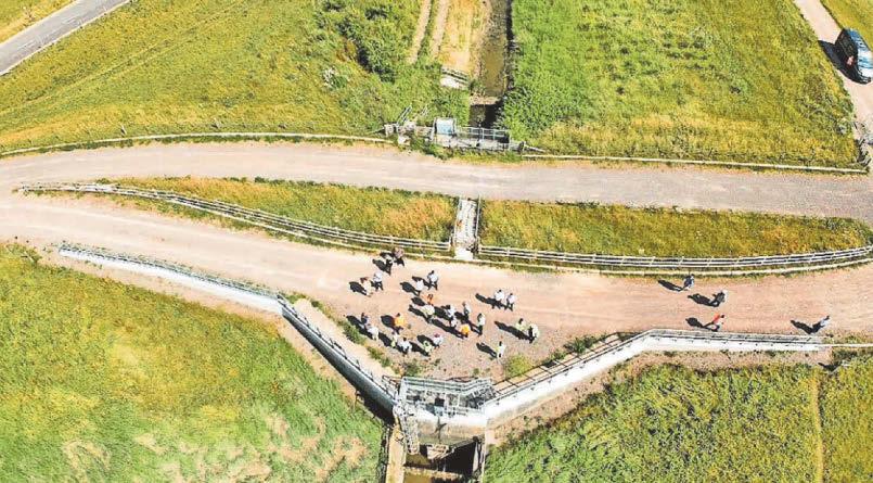 Region's biggest ever flood defence project complete