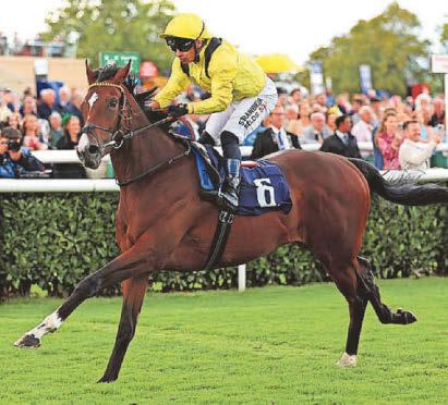 Wechaad goes in search of hat-trick at Newmarket