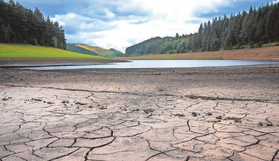 Experts warn wet weather is needed for drought recovery