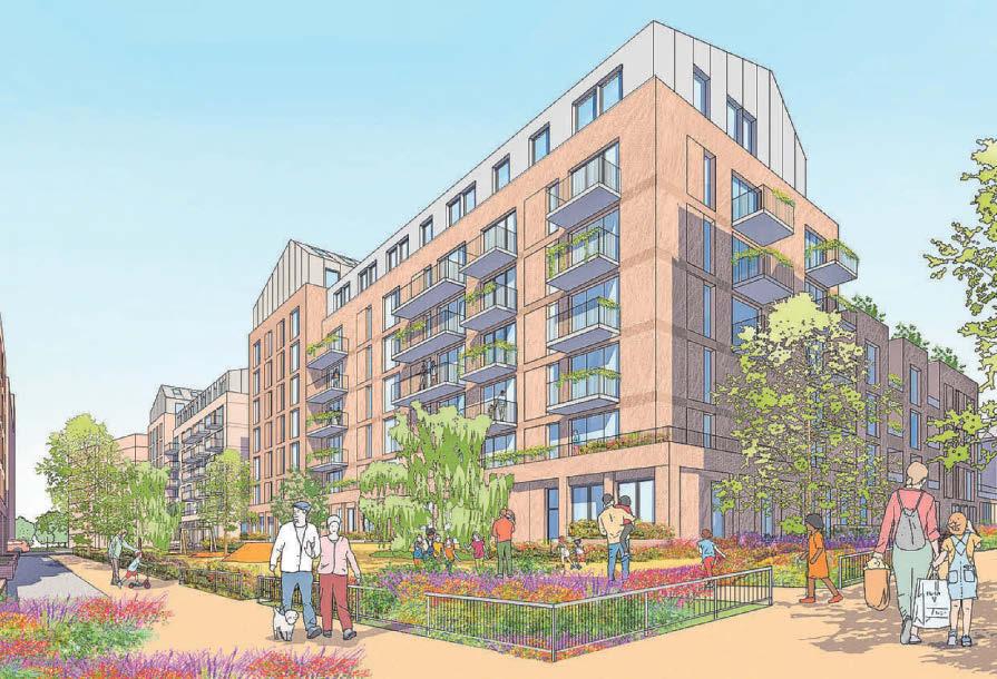 Campaign Group in plea for social homes in huge regeneration plans