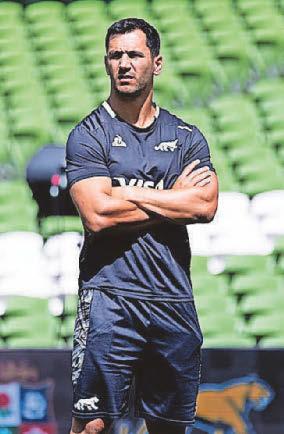 Rugby Bears set to add Argentina star Moroni to injury-hit squad