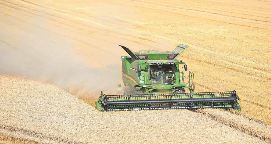 British wheat production hit by extreme weather since 2020