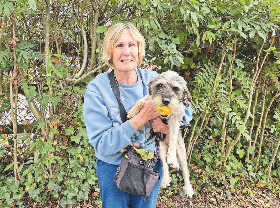 ‘Everything on tap’ Well-connected area still hangs onto its village feel