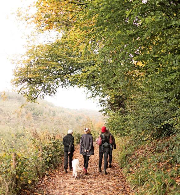 Looking forward to a brilliant autumn
