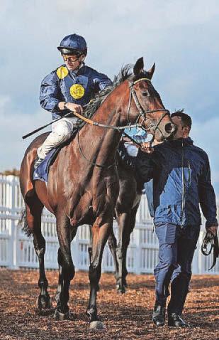 Accredit is given the stamp of approval at Haydock meet