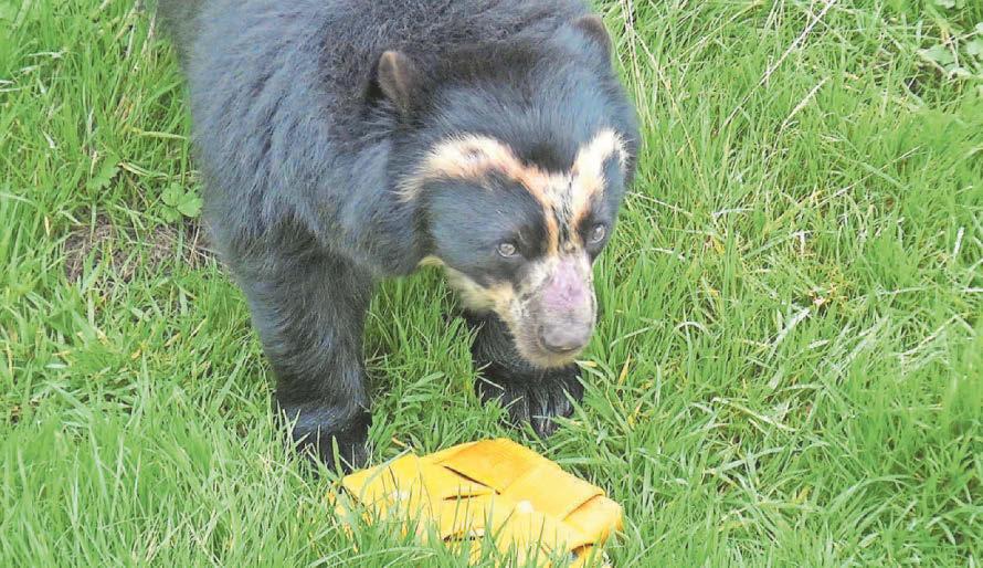 Playtime Zoo farm residents go wild for ex-firefighting equipment