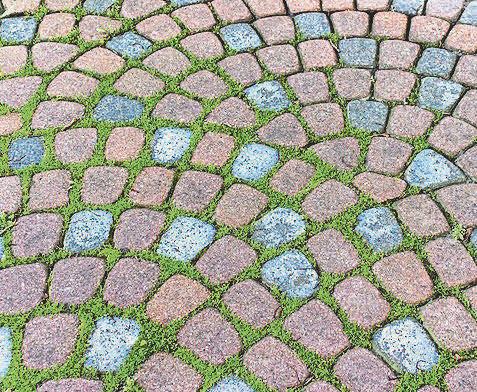 A third of back gardens paved