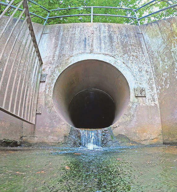 Water firms under pressure as serious pollution cases up 60%