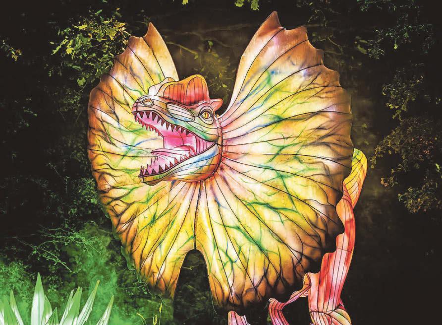 Festival of Light Park bosses defend ticket prices following online criticism