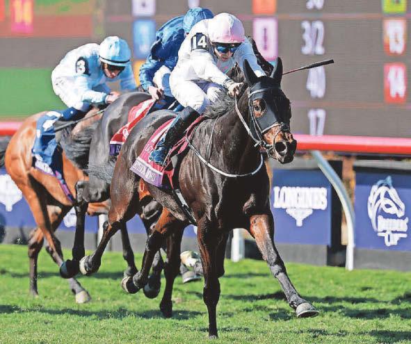 Hats off to Mullins and his Diamond dazzler