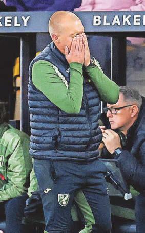 Former Robins boss Manning sacked by struggling Norwich