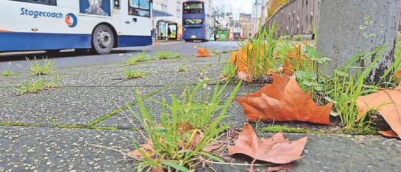 Weed clearance Council looking at swapping chemicals for criminals