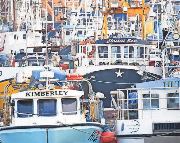 Post-Brexit law ‘failing’ to help fish stocks, Government warned