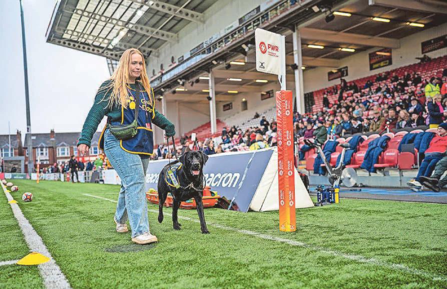 'The rewards are huge' Volunteer plea as Guide Dogs try rugby match
